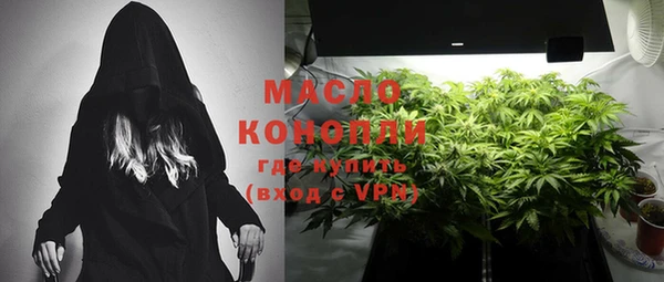мет Сясьстрой