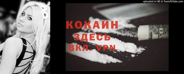крисы Богородицк
