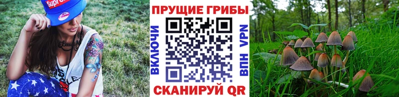 Псилоцибиновые грибы Magic Shrooms  Кондрово 
